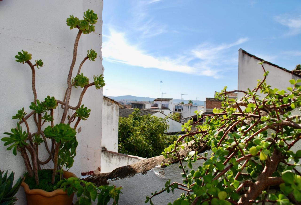Backpacker Al-Katre Bed and Breakfast Κόρδοβα Εξωτερικό φωτογραφία